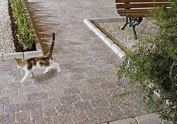 Antique-style concrete pavers in a landscaped garden path with textured surfaces and natural stone character.